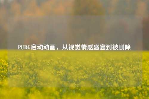 PUBG启动动画,从视觉情感盛宴到被删除