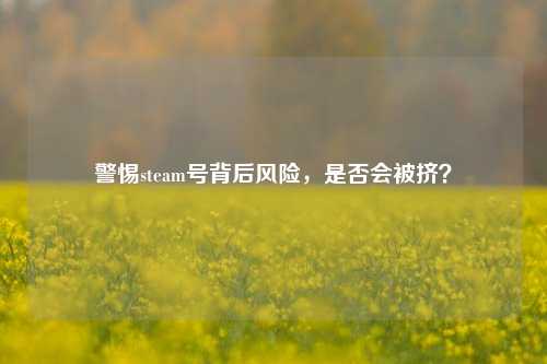 警惕steam号背后风险,是否会被挤?