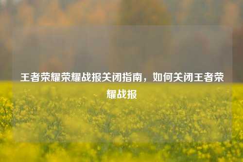 王者荣耀荣耀战报关闭指南,如何关闭王者荣耀战报