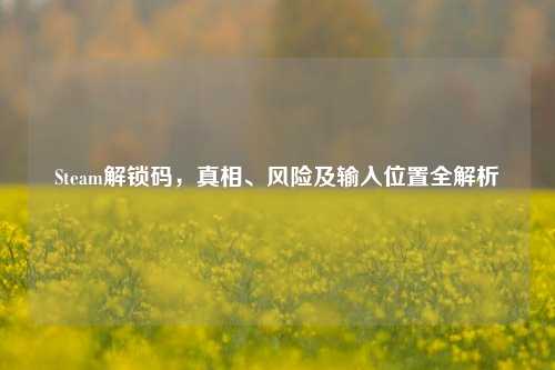 Steam解锁码,真相、风险及输入位置全解析