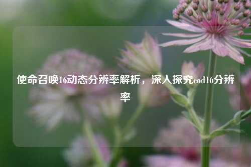 使命召唤16动态分辨率解析,深入探究cod16分辨率