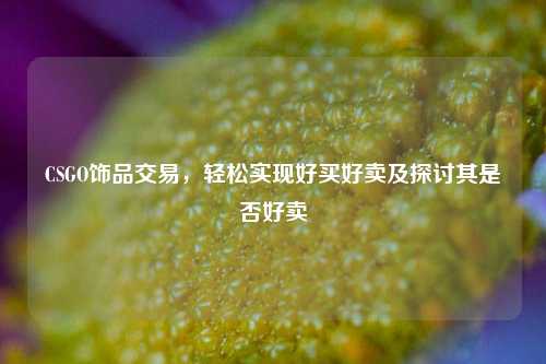 CSGO饰品交易,轻松实现好买好卖及探讨其是否好卖