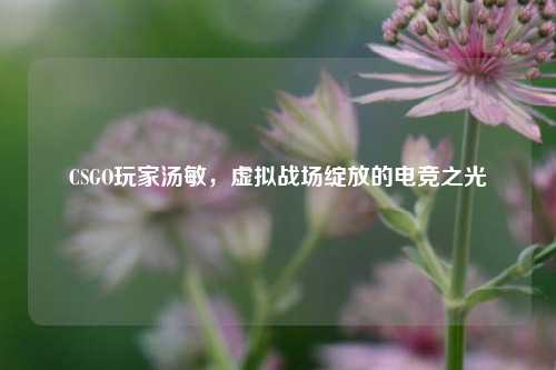 CSGO玩家汤敏，虚拟战场绽放的电竞之光