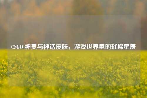 CSGO 神灵与神话皮肤,游戏世界里的璀璨星辰