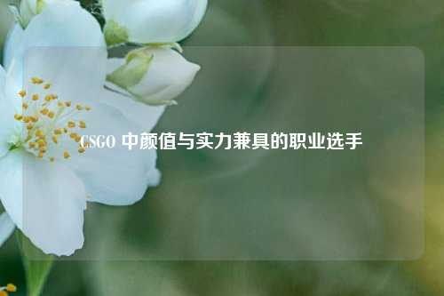 CSGO 中颜值与实力兼具的职业选手