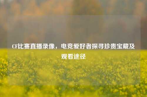 CF比赛直播录像，电竞爱好者探寻珍贵宝藏及观看途径