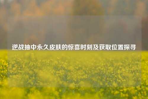 逆战抽中永久皮肤的惊喜时刻及获取位置探寻