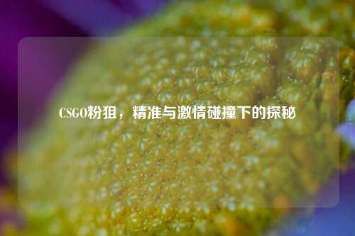 CSGO粉狙，精准与激情碰撞下的探秘