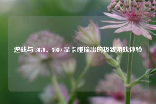 逆战与 3070、3080 显卡碰撞出的极致游戏体验
