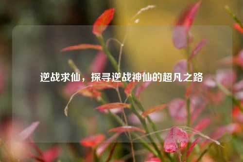逆战求仙，探寻逆战神仙的超凡之路