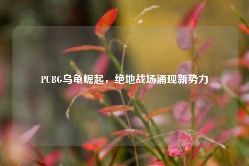 PUBG乌龟崛起，绝地战场涌现新势力