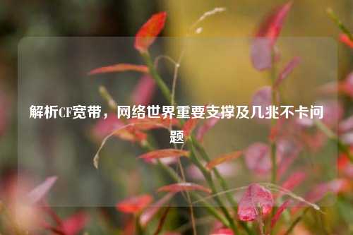 解析CF宽带, 世界重要支撑及几兆不卡问题