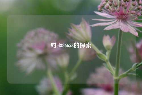 对cf886653的探索