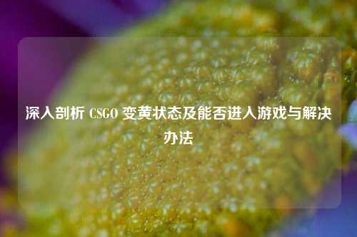 深入剖析 CSGO 变黄状态及能否进入游戏与解决办法