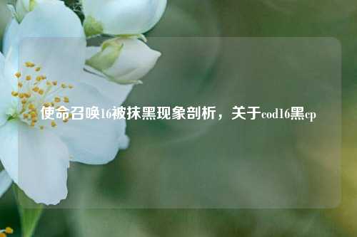 使命召唤16被抹黑现象剖析，关于cod16黑cp