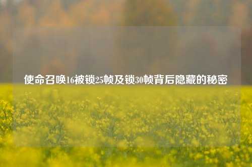 使命召唤16被锁25帧及锁30帧背后隐藏的秘密