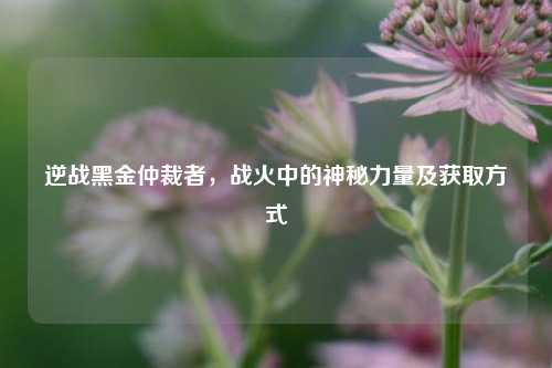 逆战黑金仲裁者，战火中的神秘力量及获取方式