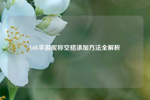LOL手游昵称空格添加方法全解析