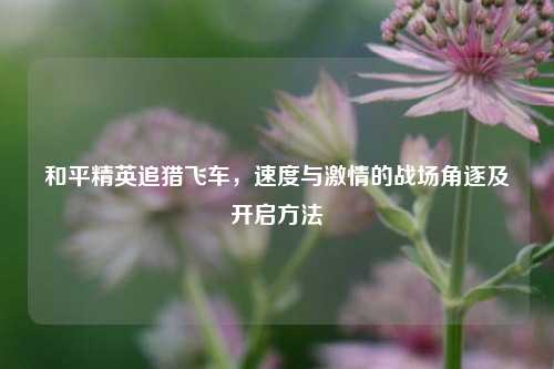 和平精英追猎飞车，速度与激情的战场角逐及开启方法
