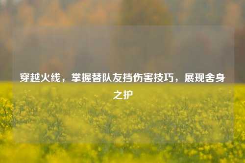 穿越火线，掌握替队友挡伤害技巧，展现舍身之护