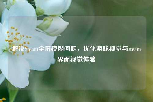 解决Steam全屏模糊问题，优化游戏视觉与steam界面视觉体验