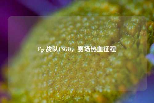 Fge战队CSGO，赛场热血征程