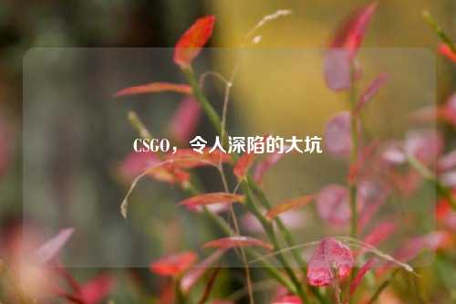 CSGO，令人深陷的大坑