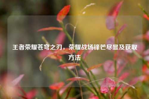 王者荣耀苍穹之刃，荣耀战场锋芒尽显及获取方法