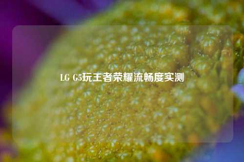 LG G5玩王者荣耀流畅度实测