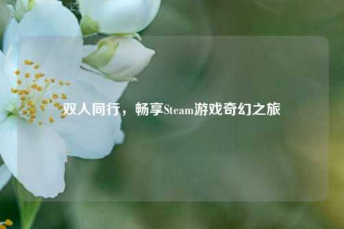 双人同行，畅享Steam游戏奇幻之旅