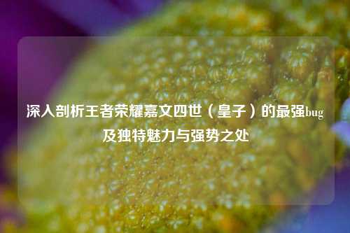 深入剖析王者荣耀嘉文四世（皇子）的最强bug及独特魅力与强势之处