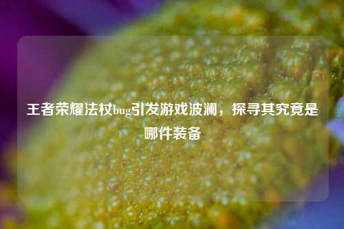 王者荣耀法杖bug引发游戏波澜，探寻其究竟是哪件装备