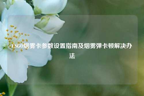 CSGO烟雾卡参数设置指南及烟雾弹卡顿解决办法