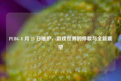 PUBG 8 月 25 日维护，游戏世界的停歇与全新展望