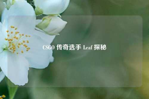 CSGO 传奇选手 Leaf 探秘