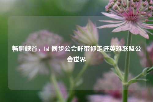 畅聊峡谷，lol 同步公会群带你走进英雄联盟公会世界