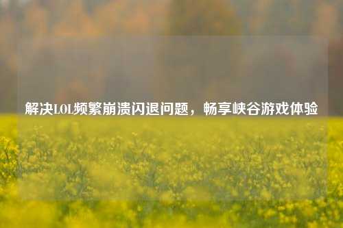解决LOL频繁崩溃闪退问题，畅享峡谷游戏体验