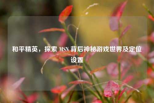 和平精英，探索 MSN 背后神秘游戏世界及定位设置