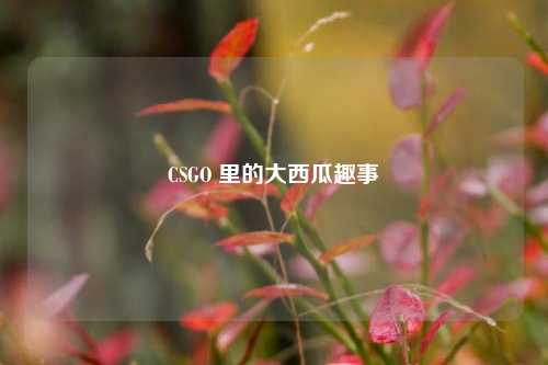 CSGO 里的大西瓜趣事