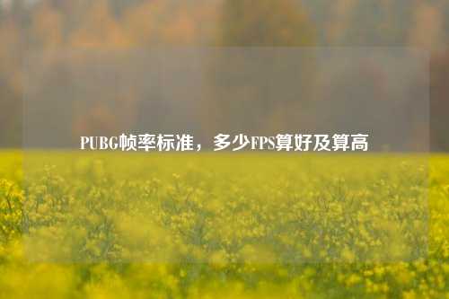PUBG帧率标准，多少FPS算好及算高