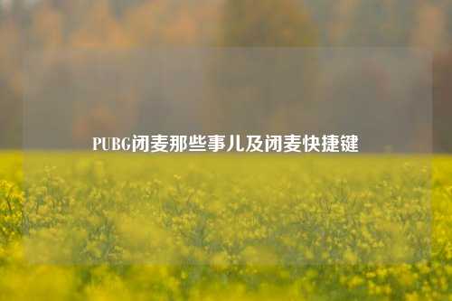 PUBG闭麦那些事儿及闭麦快捷键