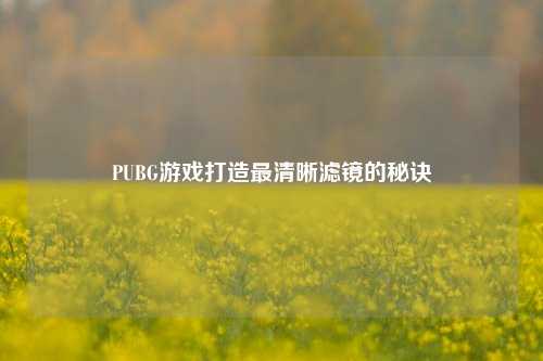 PUBG游戏打造最清晰滤镜的秘诀