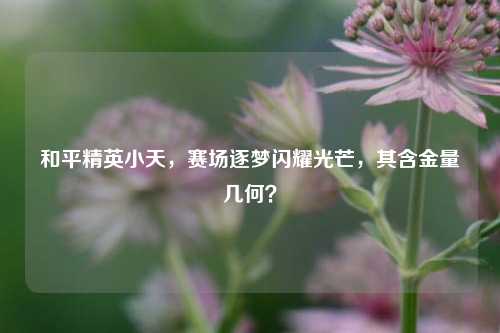 和平精英小天，赛场逐梦闪耀光芒，其含金量几何？