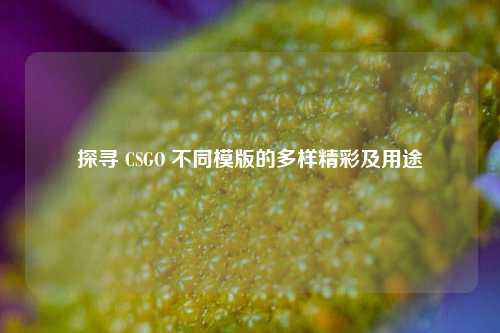 探寻 CSGO 不同模版的多样精彩及用途