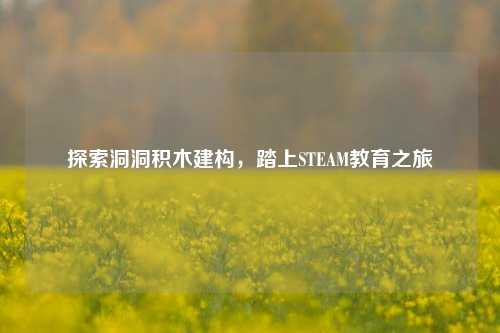 探索洞洞积木建构，踏上STEAM教育之旅