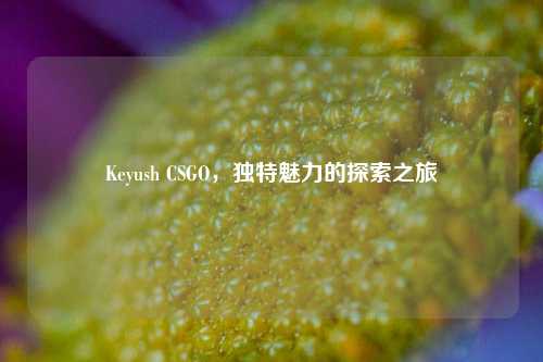 Keyush CSGO，独特魅力的探索之旅